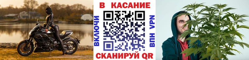 Купить Грайворон Cocaine  МЕФ  Гашиш  Амфетамин  Экстази  Конопля  ГЕРОИН 