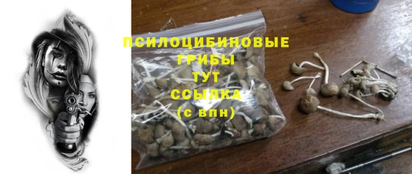 герыч Арсеньев