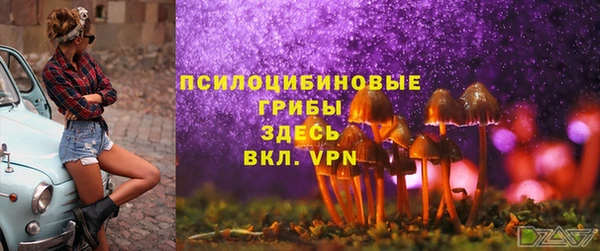 герыч Арсеньев